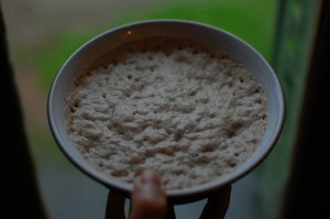 DSC_6210_sm
